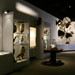 Ravishing Beasts . Guest Curator Rachel Poliquin . Vancouver Museum . Exhibit Design